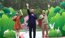 王宇最新爆料新闻视频,揭秘事件背后惊人真相