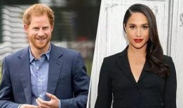 王室最新爆料新闻直播回放,最新爆料新闻直播回放深度解析