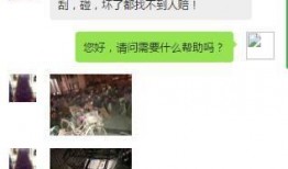 石家庄新闻最新爆料,最新爆料揭示重大事件进展